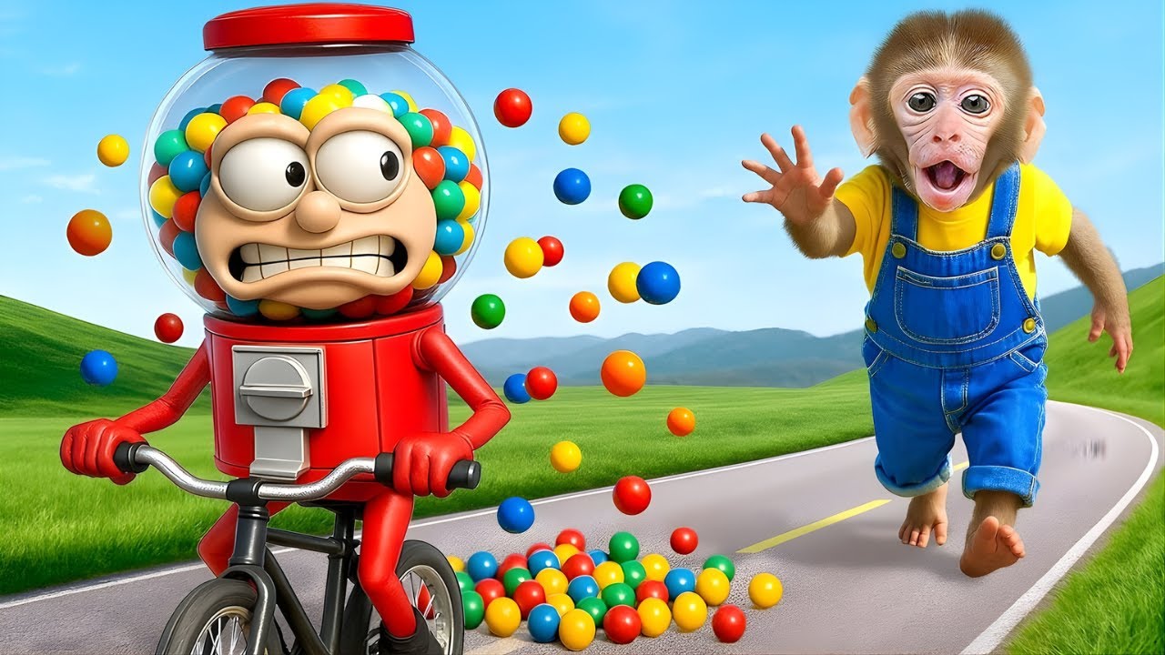Funny Monkey Videos