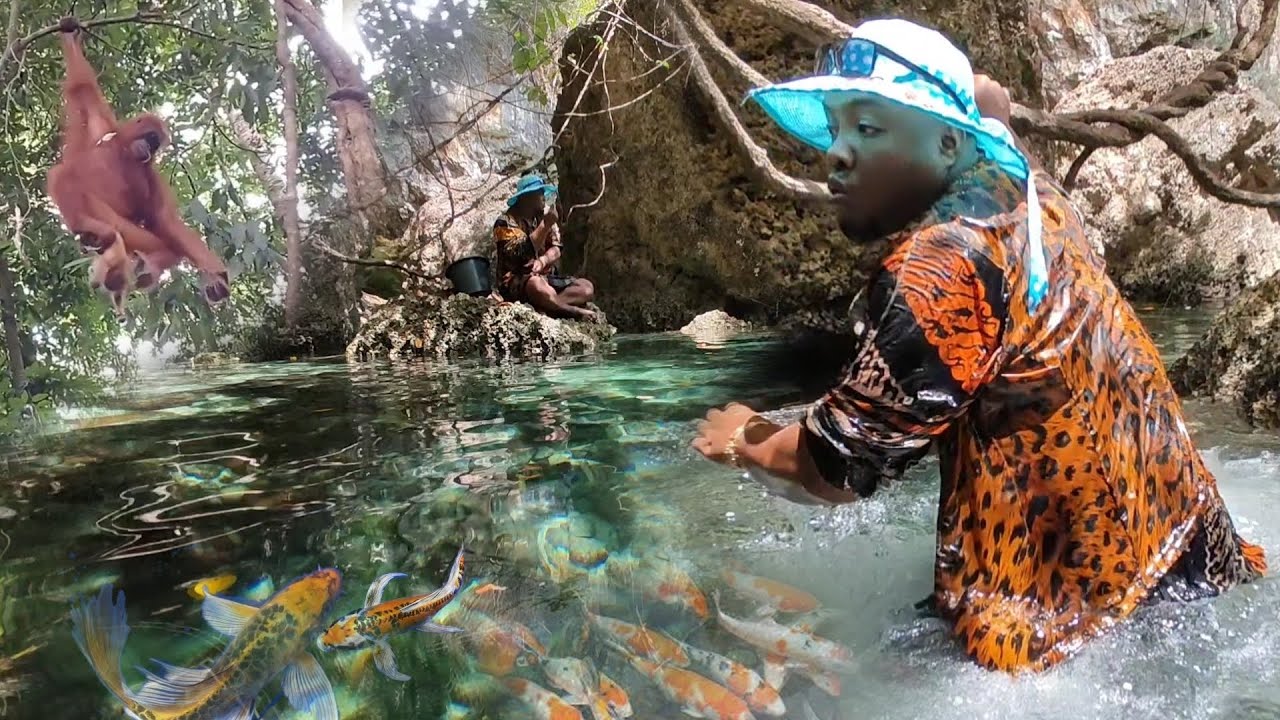 Telaga Bening YG Dikelilingi Hutan Angker, Bersarang Ikan-ikan Mahal Kelas atas.