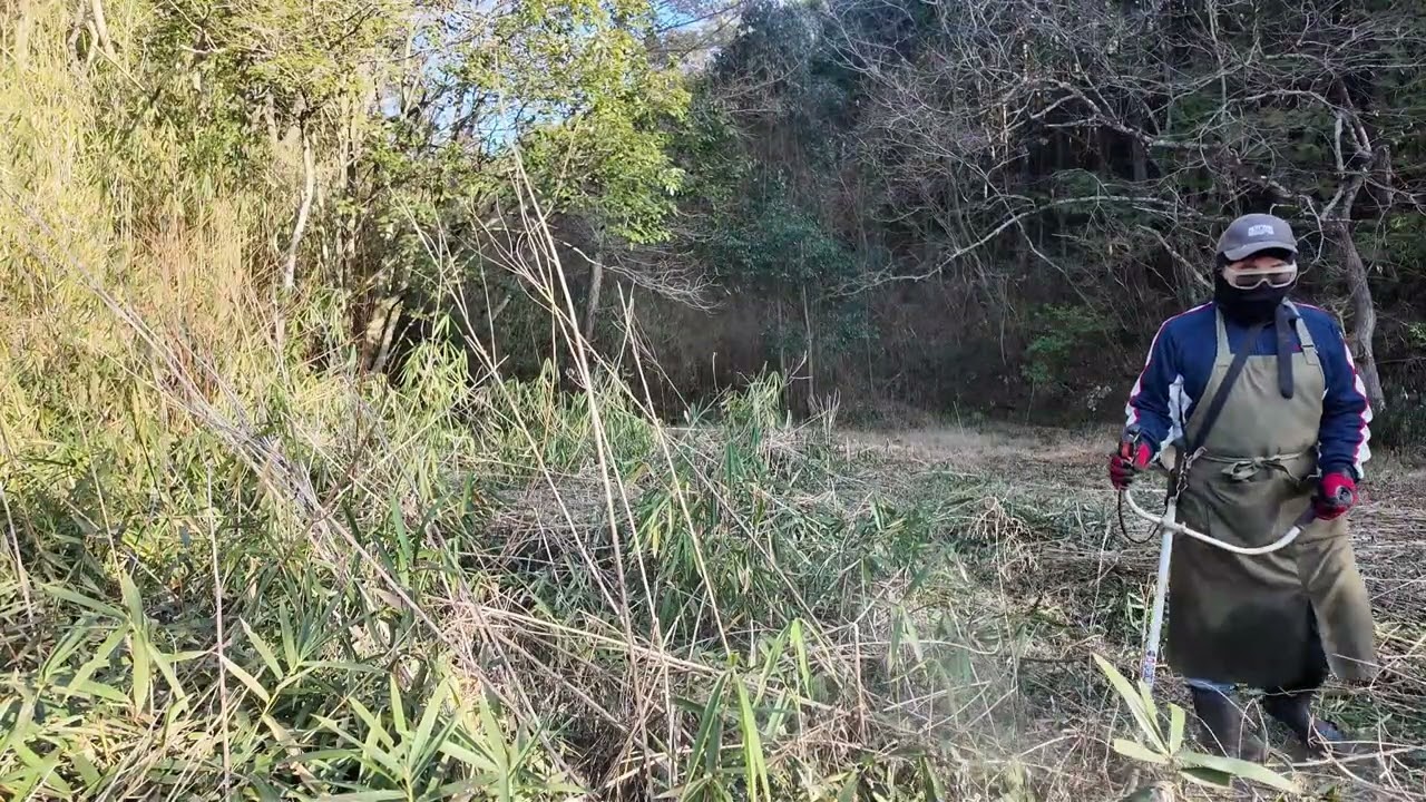 耕作放棄地（東）、笹竹を刈る、25㏄エンジン草刈り機、3枚刃