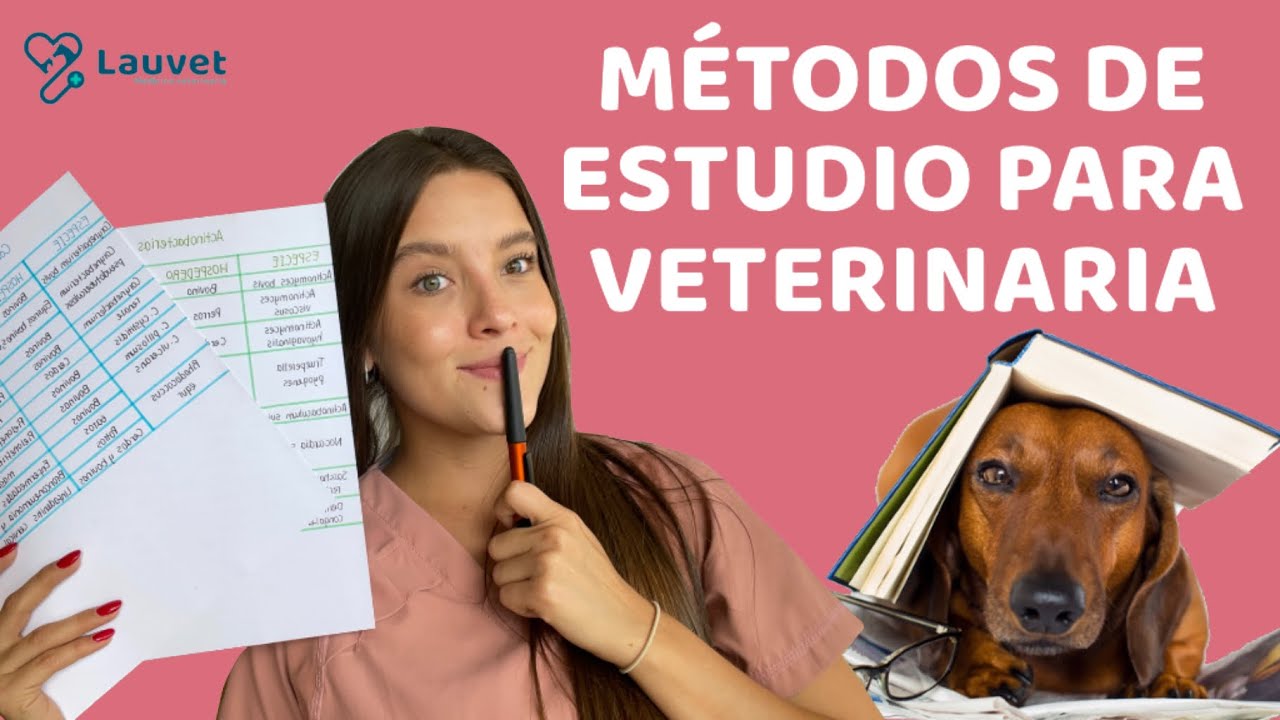 MÉTODOS DE ESTUDIO PARA VETERINARIA - Lauvet