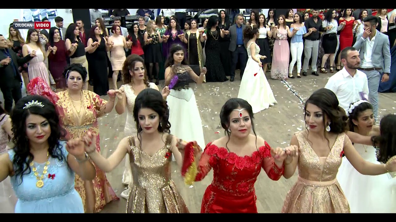 koma malak Kurdische Hochzeit- Ross Dekoration( Hussein & Rujin) By dilocan Video part01