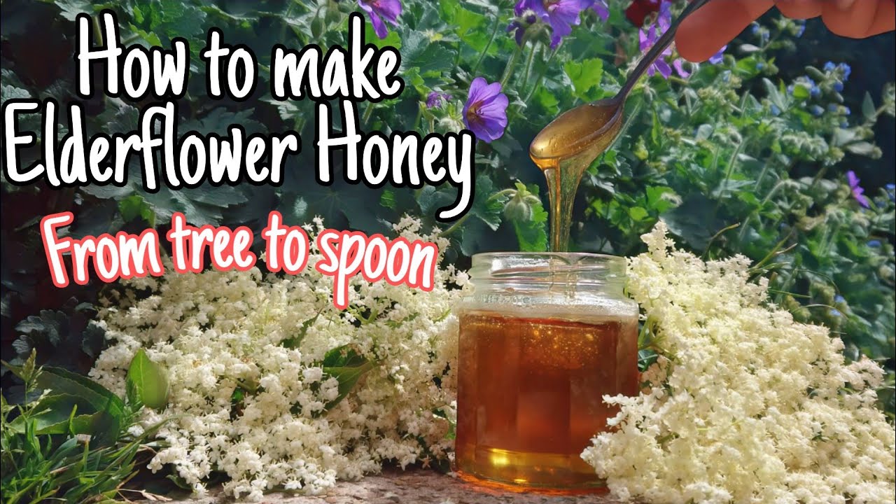 How To Make Elderflower Honey ~ From Start To Finish