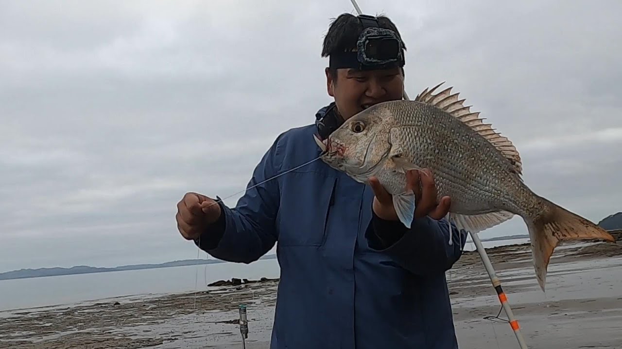 Beach Fishing for Snapper (NZ Surfcasting)