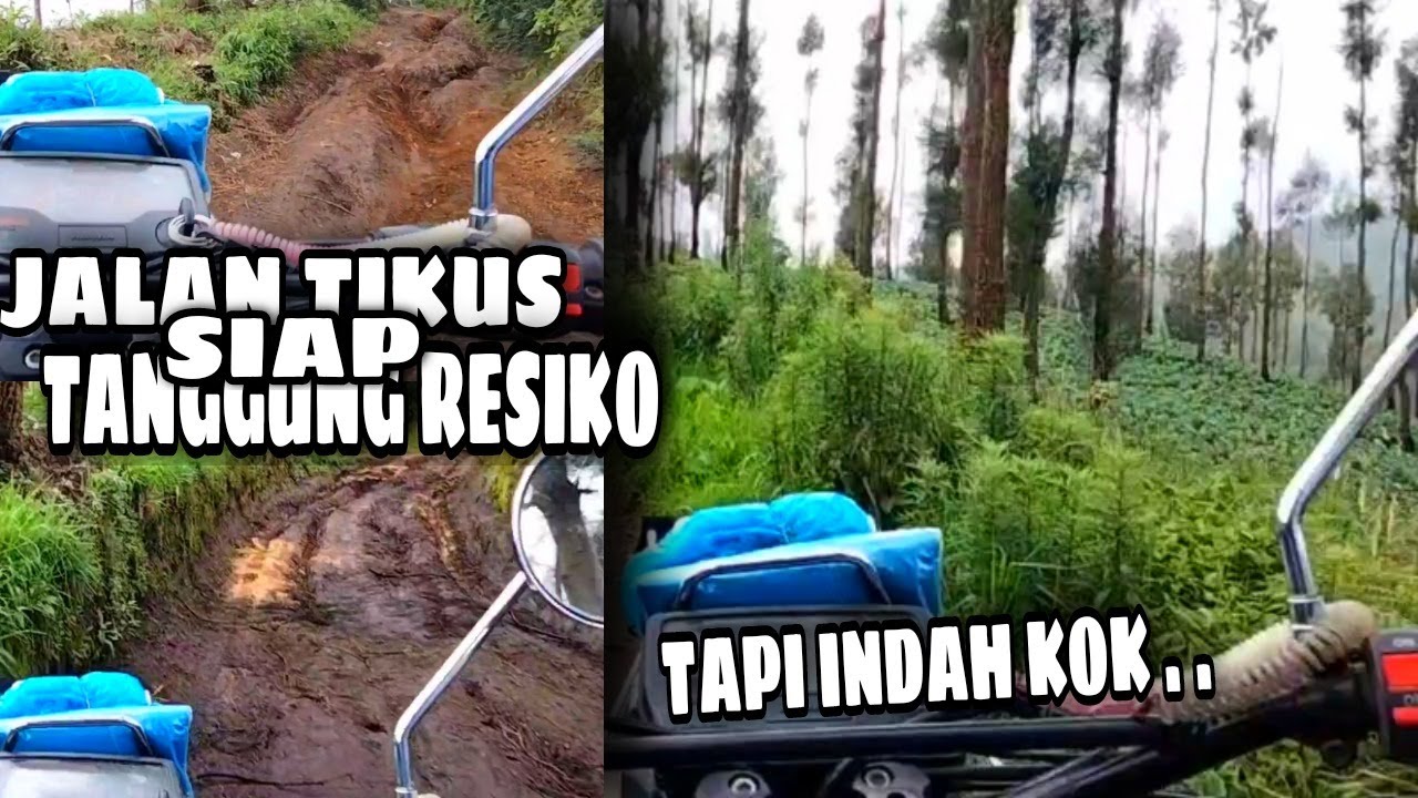 Jalan Tikus Pananjakan Bromo Via Wonokitri, Trabas Tipis-Tipis dengan Honda WIN 100