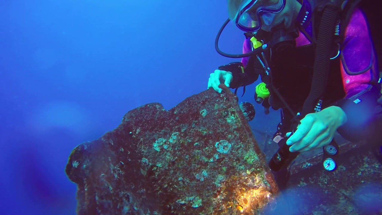 Diving Baby Barge with Reef Pirates