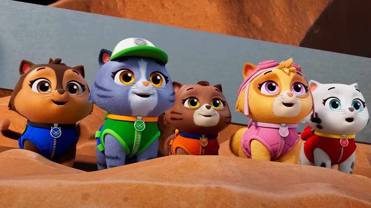 PAW Patrol - Kitten Catastrophe Crew | Season 11 Compilation | WildBrain Zoo | Kids Cartoons