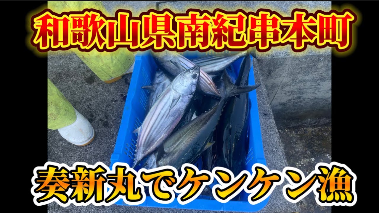 和歌山県南紀串本町でケンケン漁！奏新丸にお邪魔して来ました！