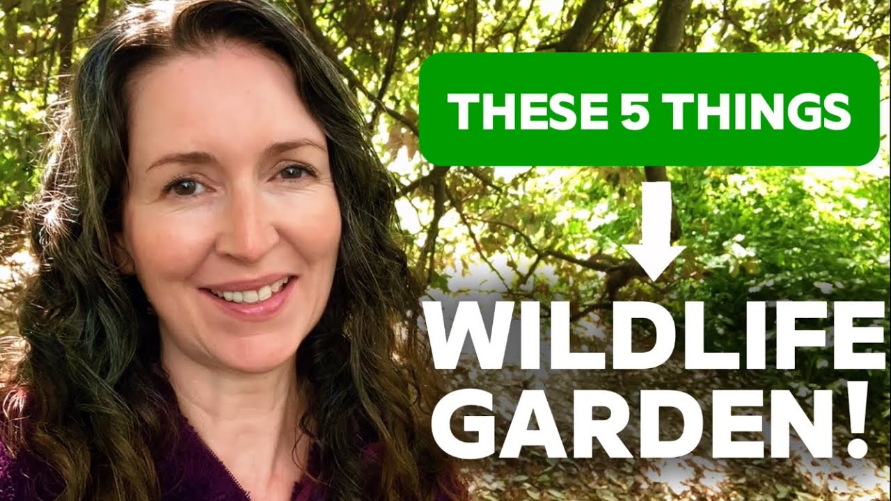 How to make a WILDLIFE GARDEN! 5 EASY steps! 🦋