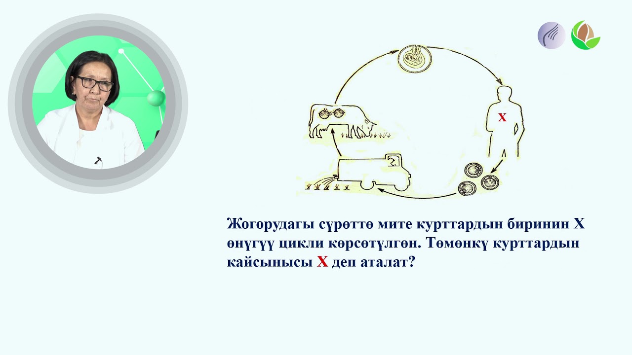 3 сабак
