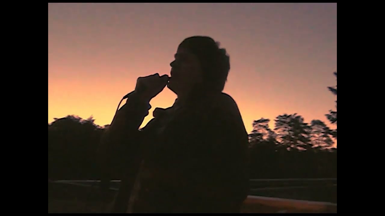 жарок - полынь на пустыре (сон), лайв на крыше заброшки в зеленогорске