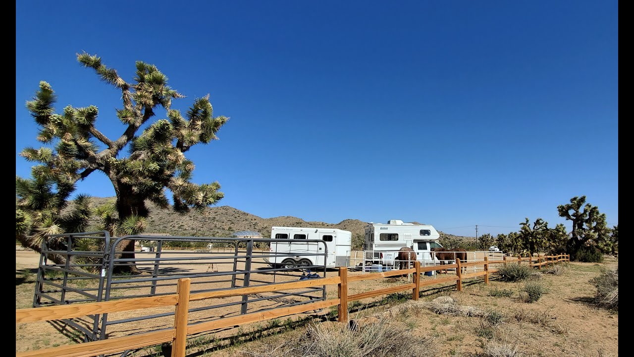 ASMR Camper Tour and a Trip with the Horses 🤩