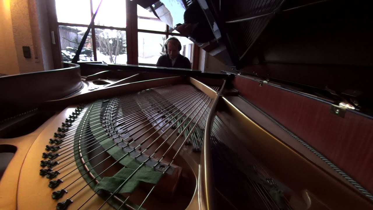 Phil Collins - Everyday (Piano)