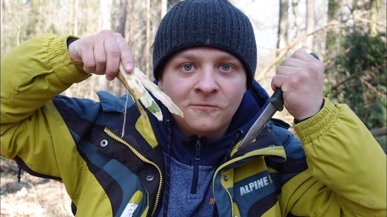 Survivalowa mąka z podkorza sosny i świerku! Robimy słowiańską kawę i amerykańskie naleśniki.
