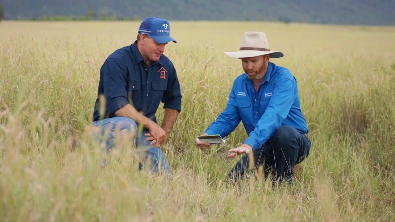 Part 2: Management options for pasture dieback