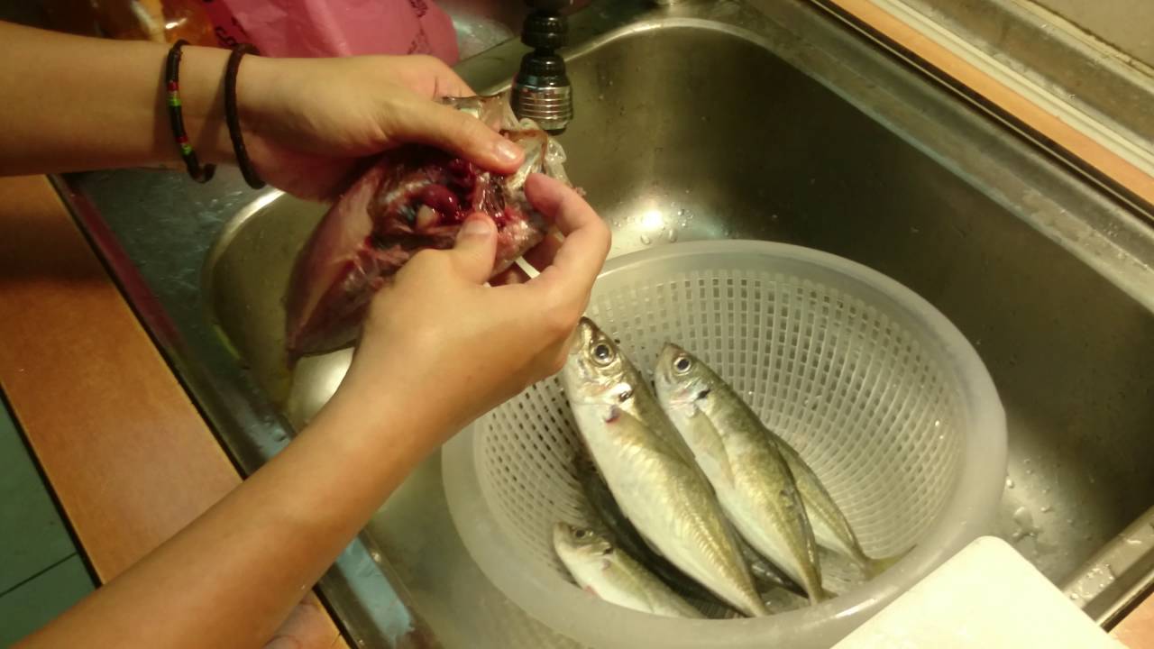 竹莢魚如何開成一夜干？