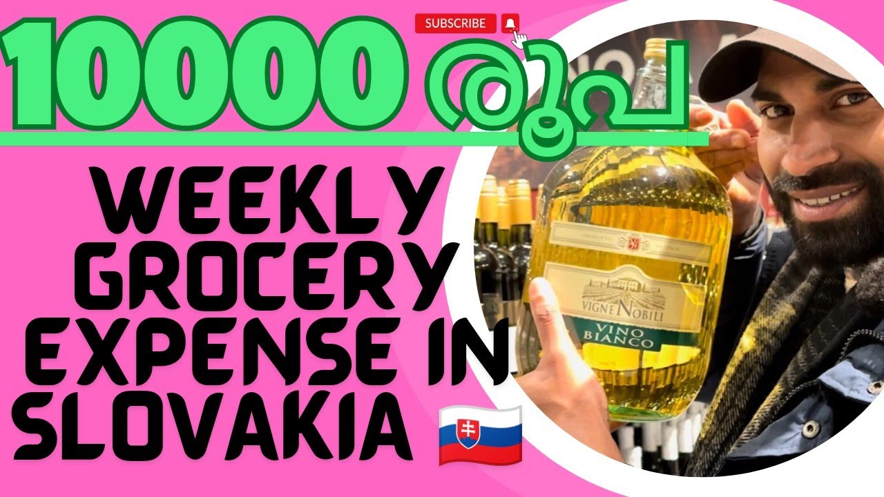 Weekly grocery shopping in Bratislava Slovakia🇸🇰/Grocery shopping /malayalam vlog / shopping haul