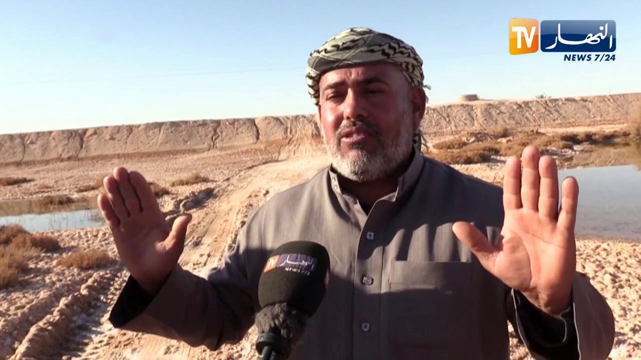 ورقلة: صعود المياه الجوفية يقضي على الزراعة بقرية عين موسى