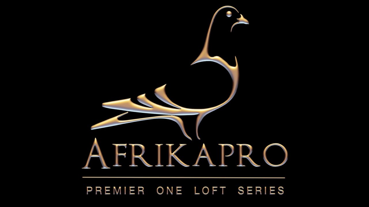 AfrikaPro Loft