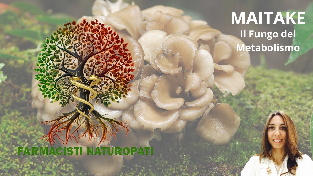 MAITAKE