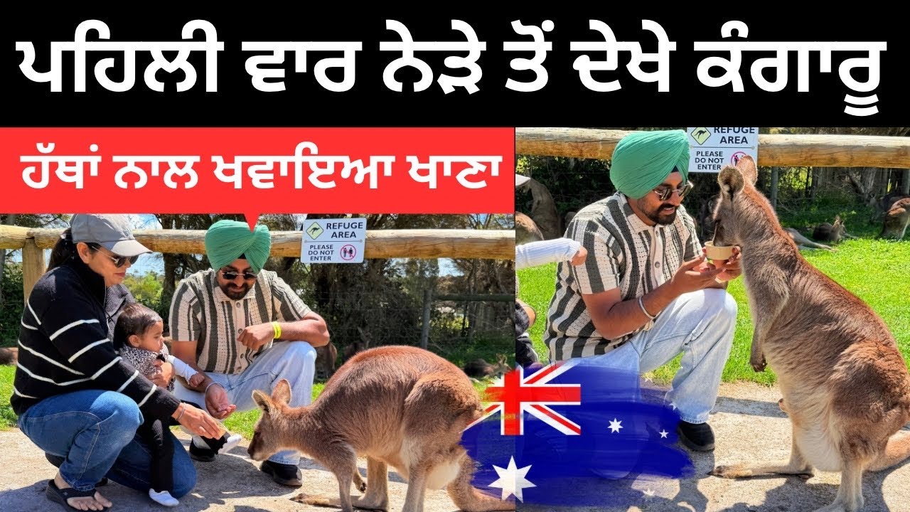 ਆਸਟਰੇਲੀਆ ਵਿੱਚ ਨੇੜਿਓ ਦੇਖੇ ਕੰਗਾਰੂ 🦘 Kangaroo Australia | Punjabi Travel Couple | Ripan Khushi