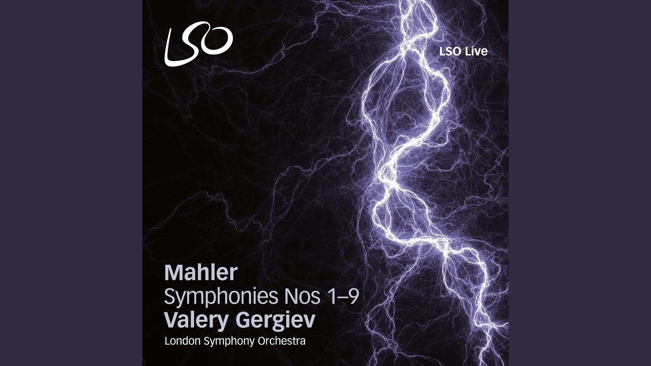 Symphony No. 4: II. In gem&auml;chlicher Bewegung. Ohne Hast