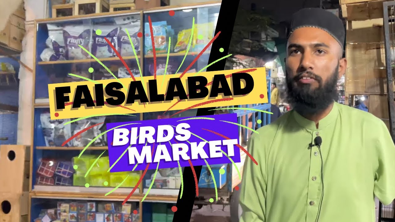 Faisalabad🦜Birds Market Updates🐥how to purchase💸birds /🐈cat/dogs/cages/foods/😍Accessories etc..