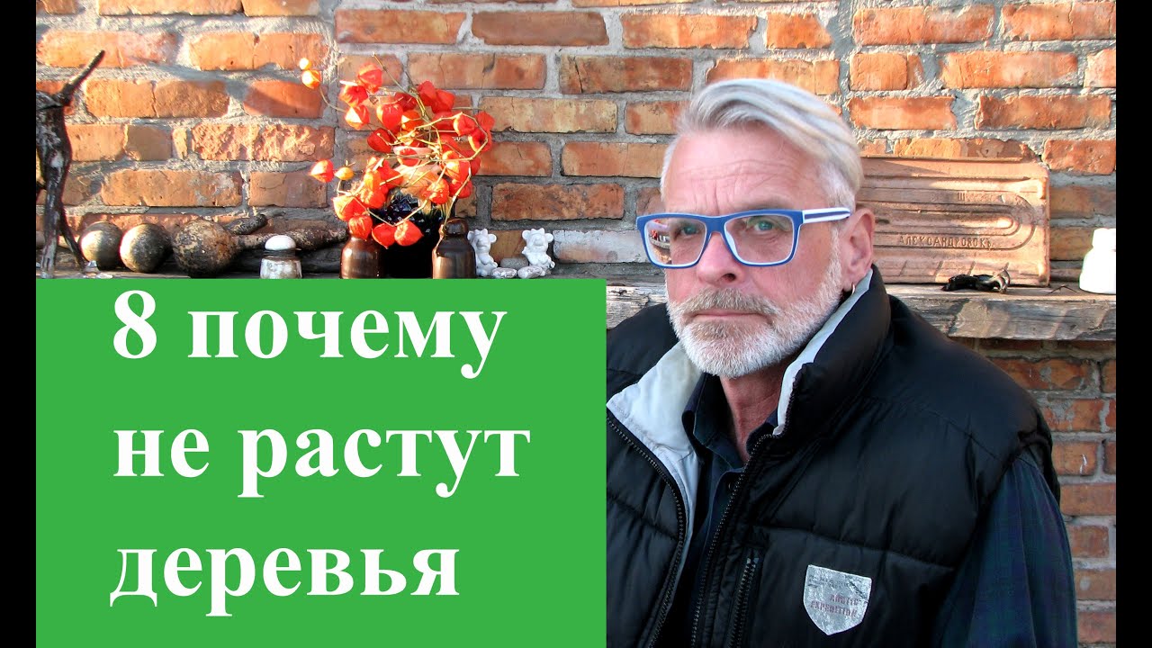 8 причин почему не растут деревья