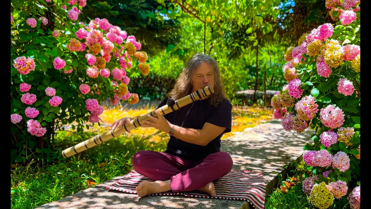 Native American Flute with Birds Singing Meditation Serenity Healing Music - NO Ai Music NO Ai Video