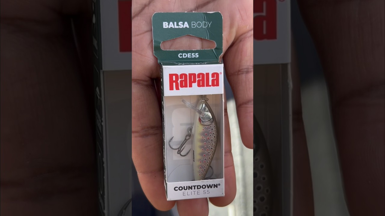 😱 Countdown Elite 😱 sinking blasa body #jerkbait by @Rapala  #bassfishing #troutfishing #rapala