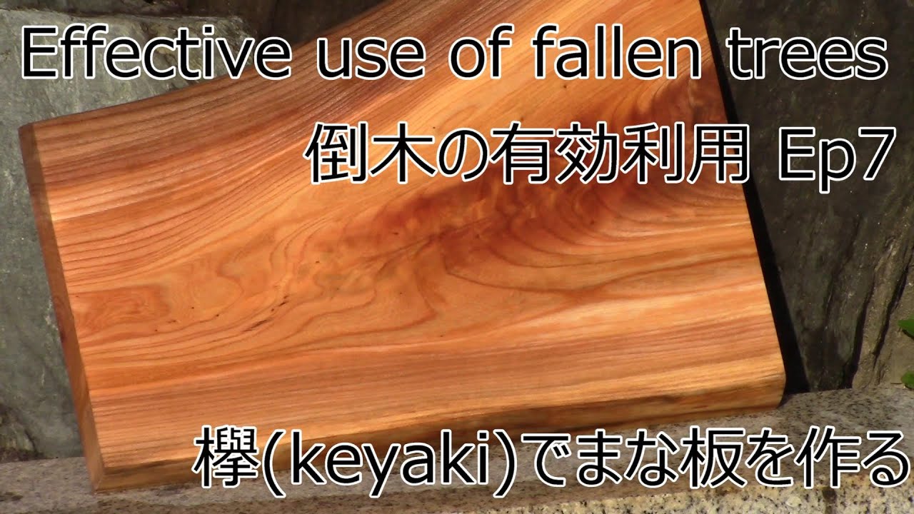 Make a cutting board from fallen Japanese zelkova. 欅の倒木でまな板を作る