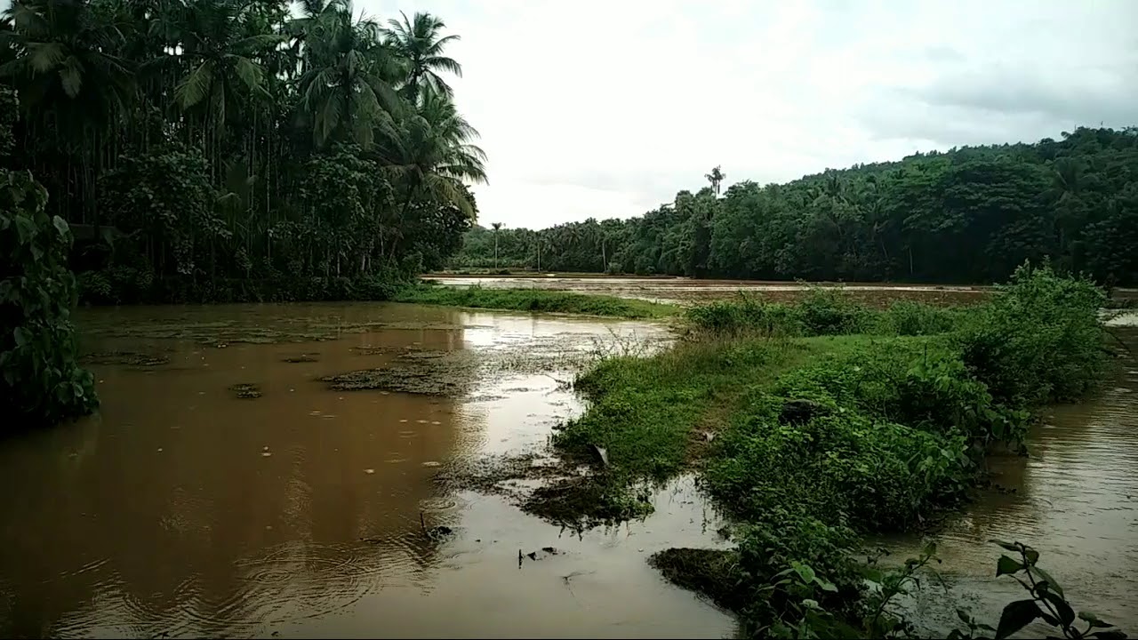 Kerala Flood 2019