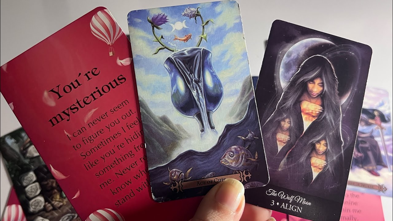 Person on your mind : Current Feeling for you💞No contact/Separation🥵 Next Move🫣tarot card reading