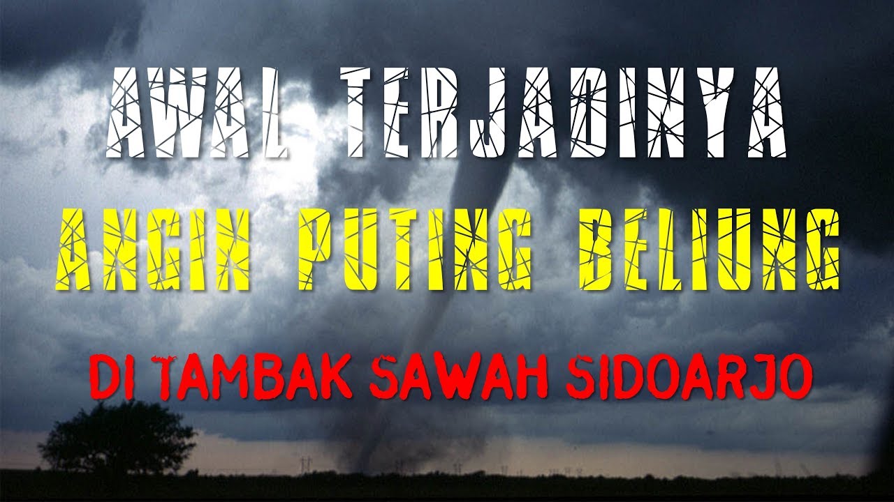 BEGINI PROSES AWAL TERJADINYA ANGIN PUTING BELIUNG - Tambak Sawah Tambak Rejo Sidoarjo