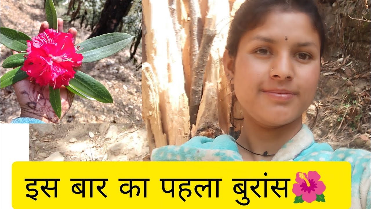 आज अकेले जंगल का सफर अपने आप के साथ 🙄🥱