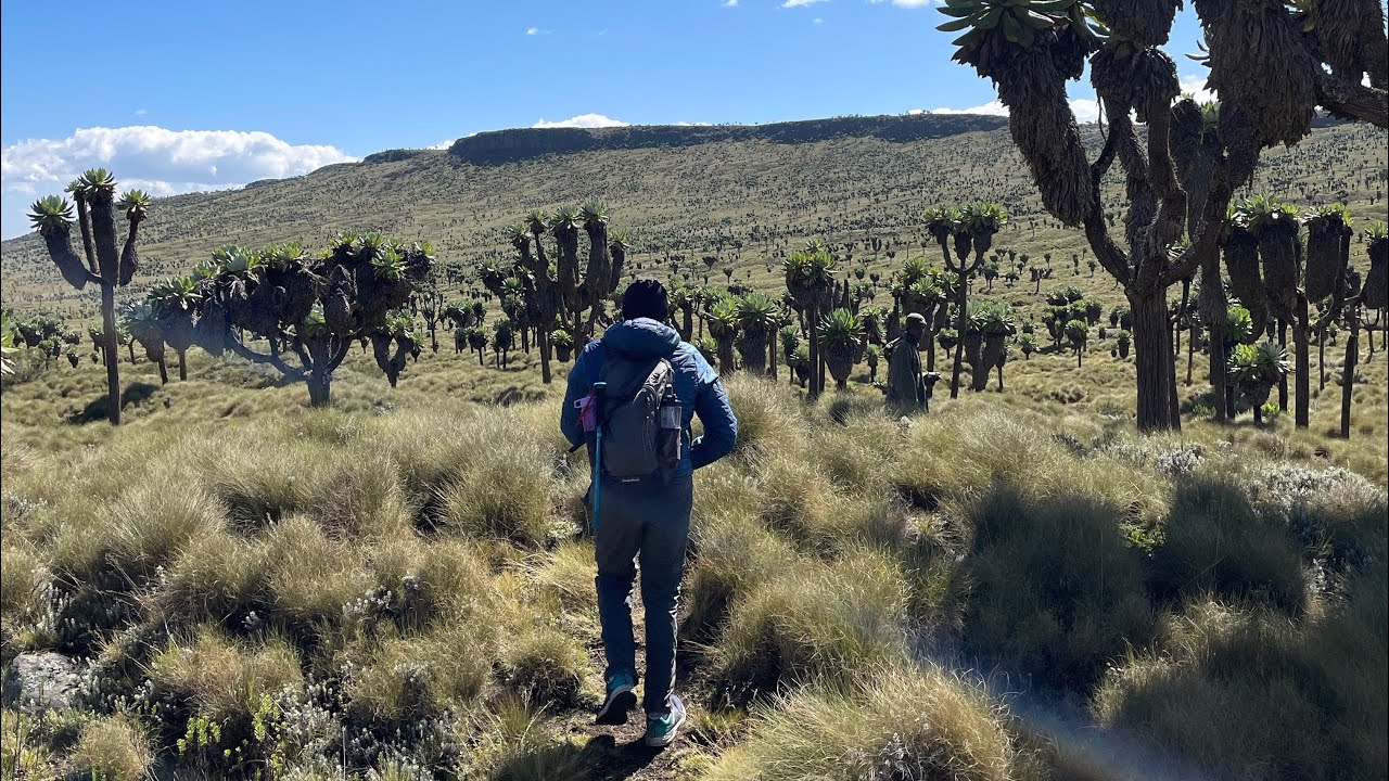 Silent Hike Up the Rurimeria Hills, Kenya