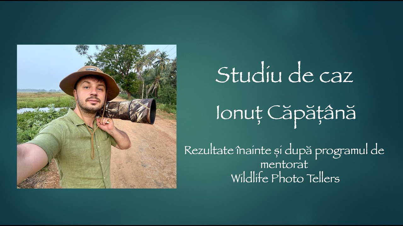 Studiu de caz   Ionuț Căpățână