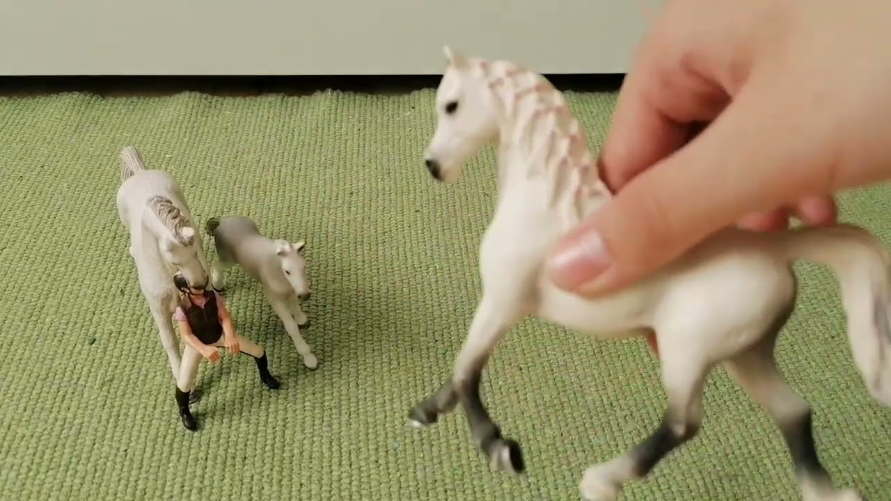 Ki kihez tartozik? 🥰🐎