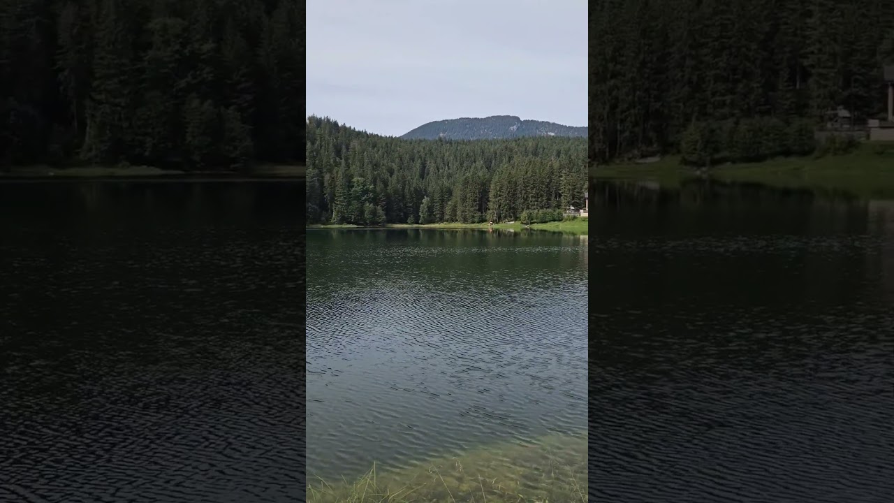 Lake in Canton Glarus 🥰🇨🇭 #obersee #glarus #lakes #swisslake #naturelove #naturevideo