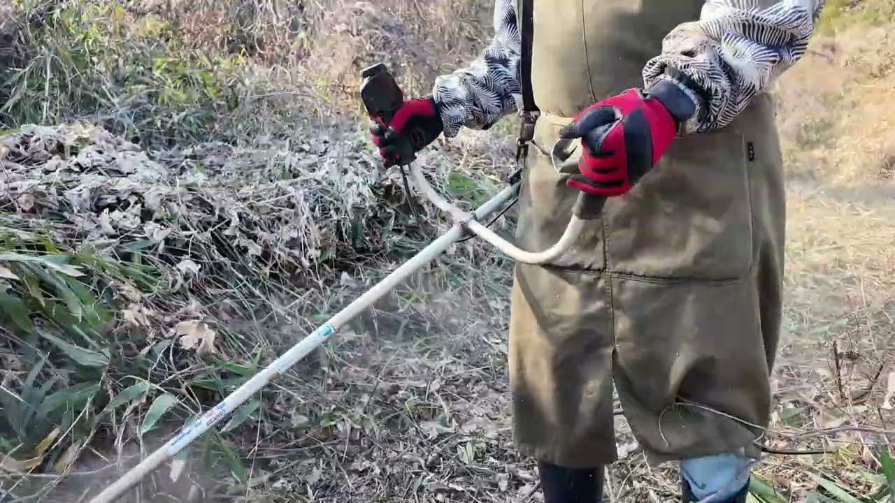 耕作放棄地西：縦・横と順番で刈っていったので、往復距離は短くなった。少し楽。なるべく地面にはいつくばっている太い葛のつるも細かく砕いて刈る。