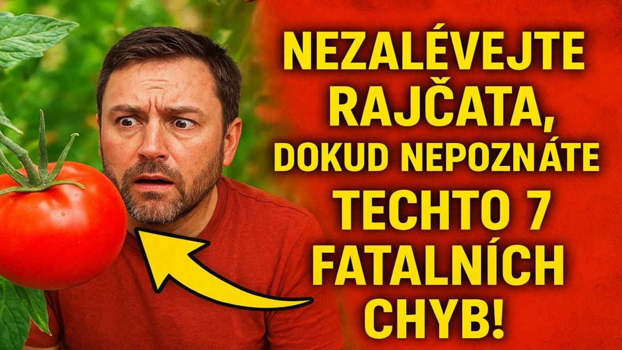 Nezalévejte rajčata, dokud nepoznáte těchto 7 fatálních chyb!