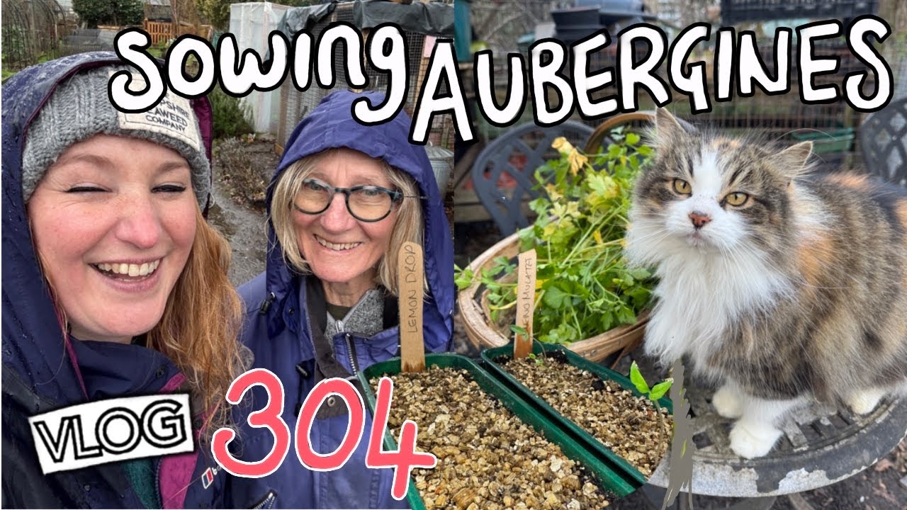 Sowing Aubergines | Basil | Sweet Peppers. New Raspberry Canes. Ep304 || Plot 37