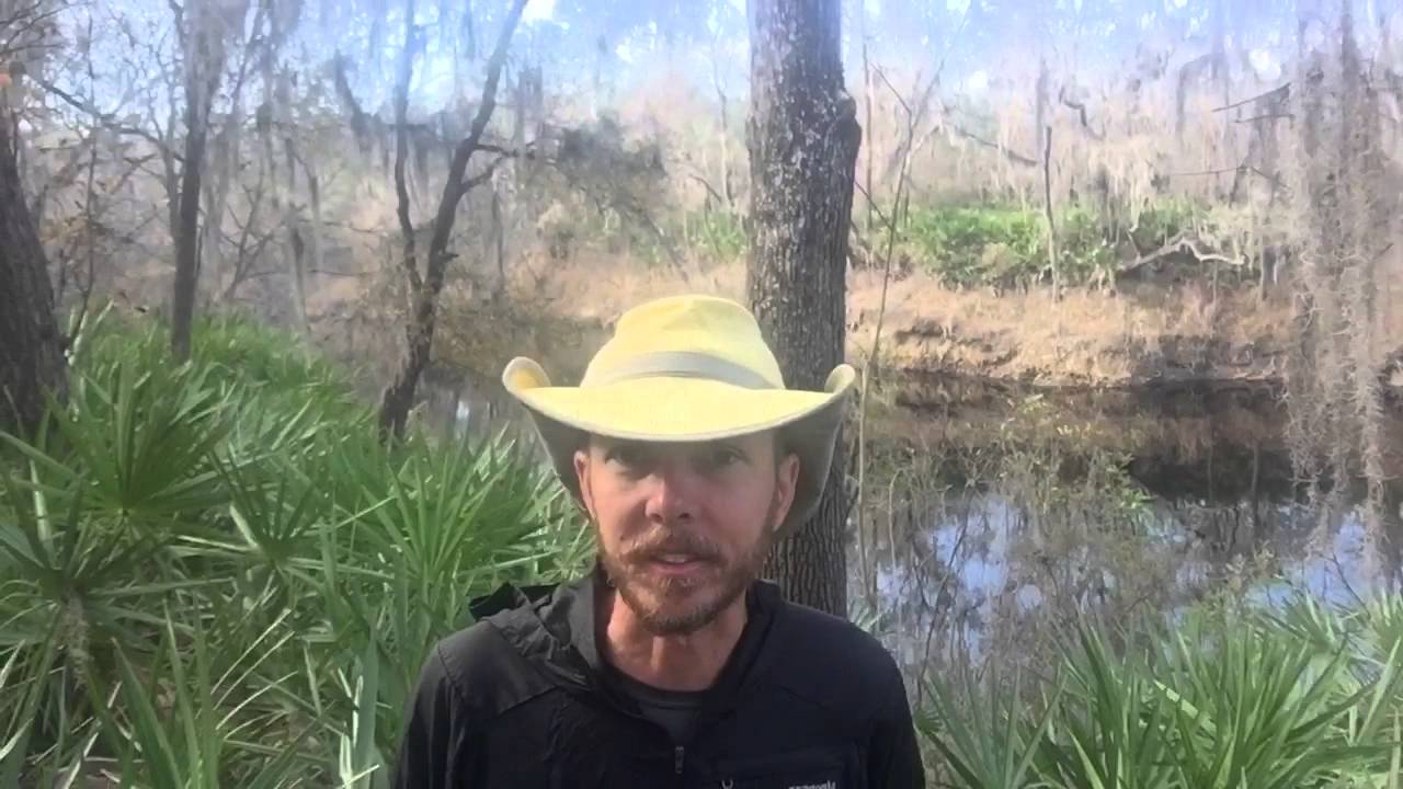Florida Trail Thru-Hike 2016 - Suwannee