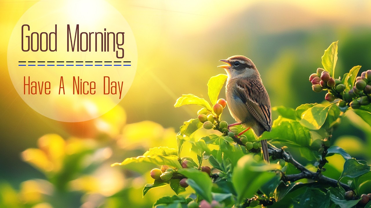 BEAUTIFUL MORNING MUSIC - Wake Up Renewed & Positive Energy - Morning Meditation Music to Relaxation