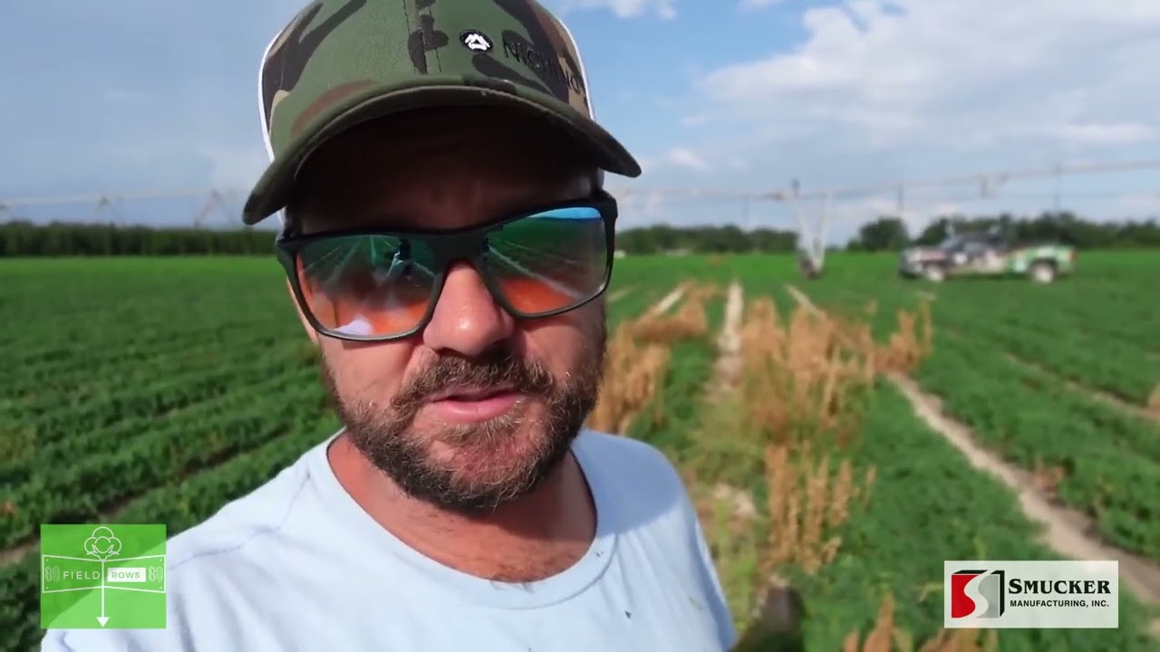 Super Sponge Weed Wiper Review from Field Rows