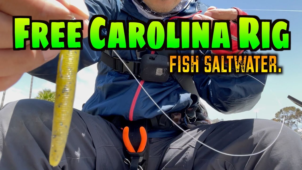 Free Carolina Rig – Old-School C-Rig with Free Rig Weight