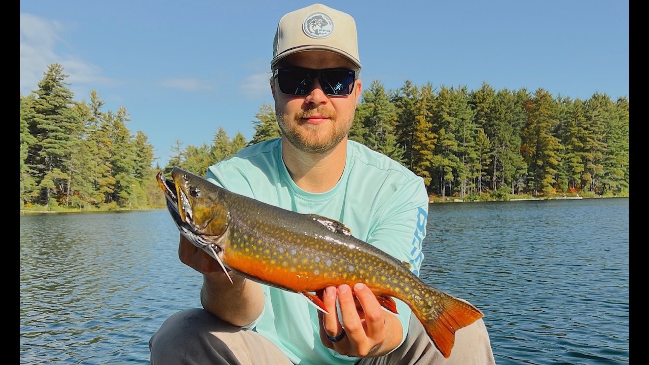 Algonquin Park Fall Trip (Big Brook Trout)