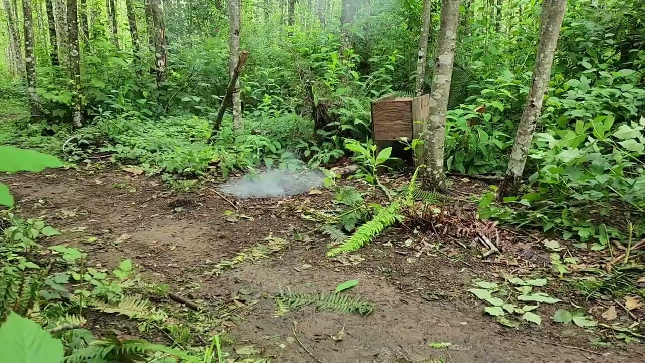 Boom Tube