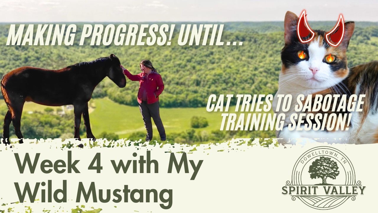 From Fear to First Touch | Wild Mustang Trust Breakthrough