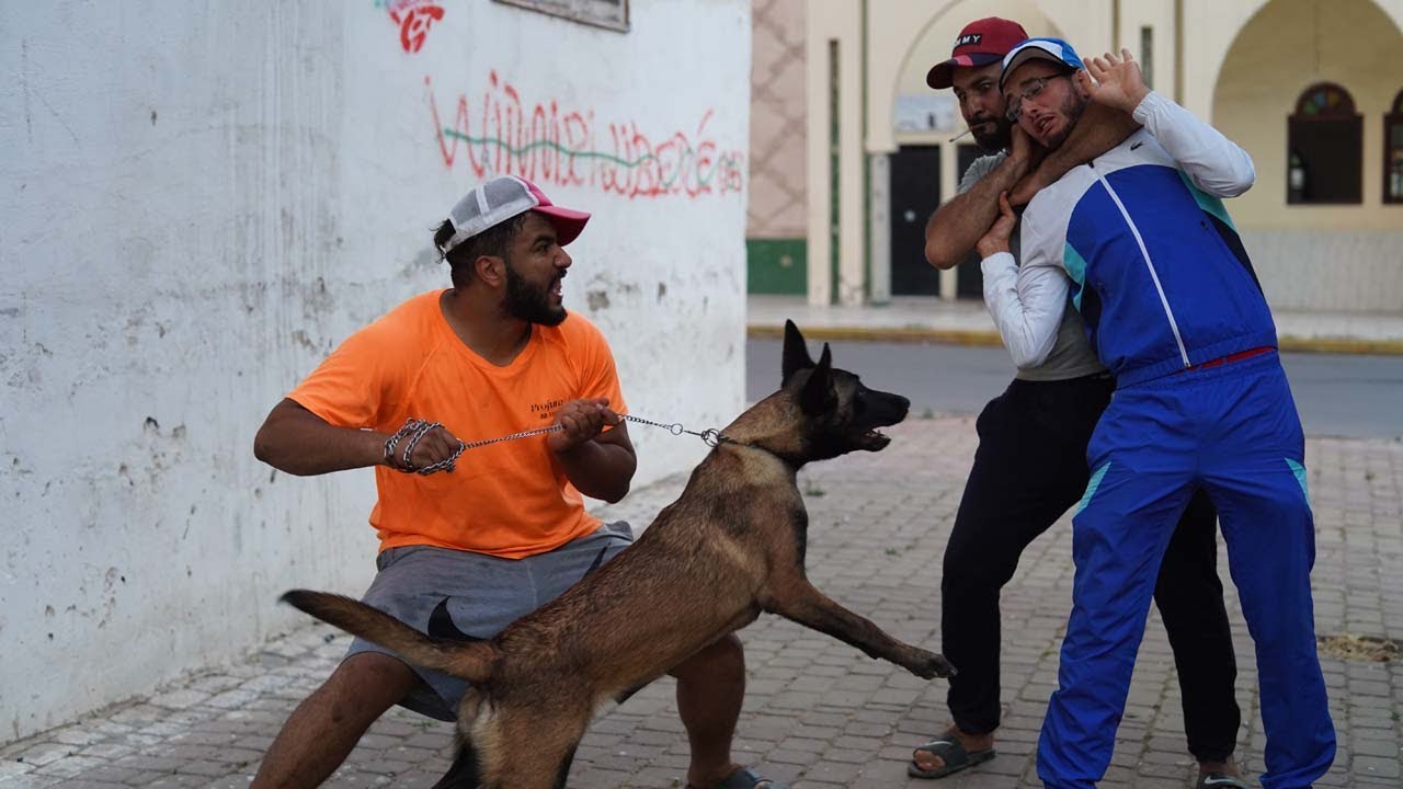 فاش كيبغي شي شفار يشفر بشي كلب قبيح أوكيندم