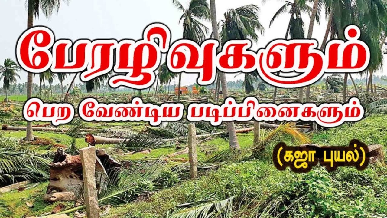 பேரழிவுகளும் பெற வேண்டிய படிப்பினைகளும்   (கஜா புயல்